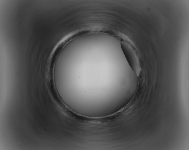 X0000082980392200703020301