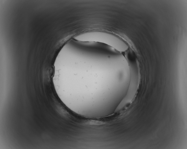 X0000082980393200703020301