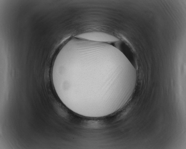 X0000082980394200703020301