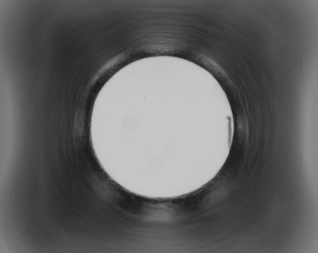 X0000082980396200703020301