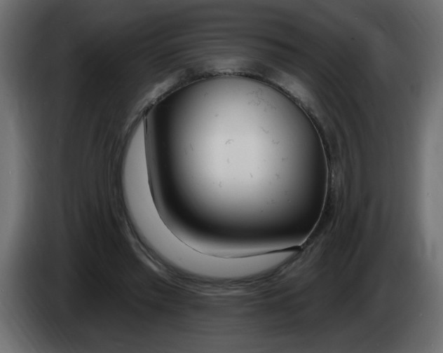 X0000082980397200703020301