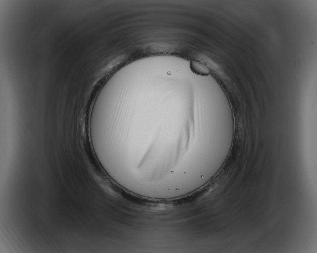 X0000082980398200703020301