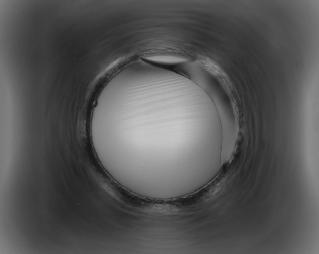 X0000082980399200703020301