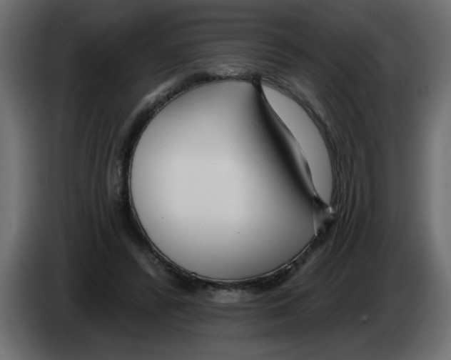 X0000082980400200703020301