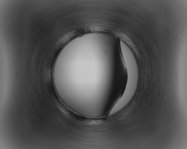 X0000082980401200703020301