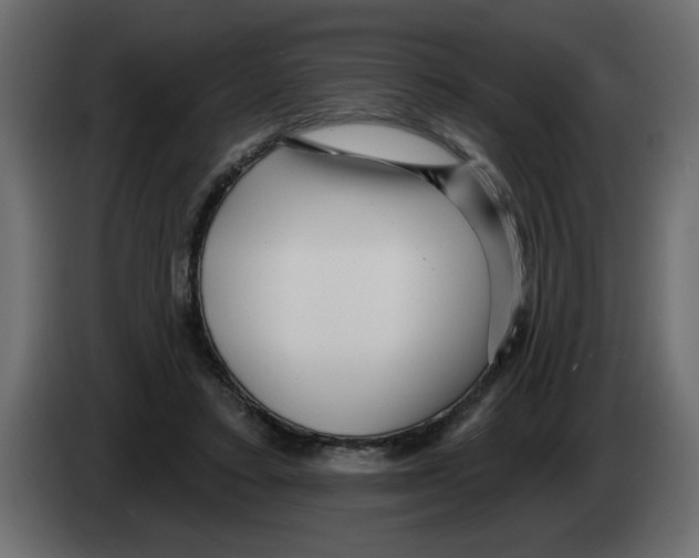 X0000082980403200703020301