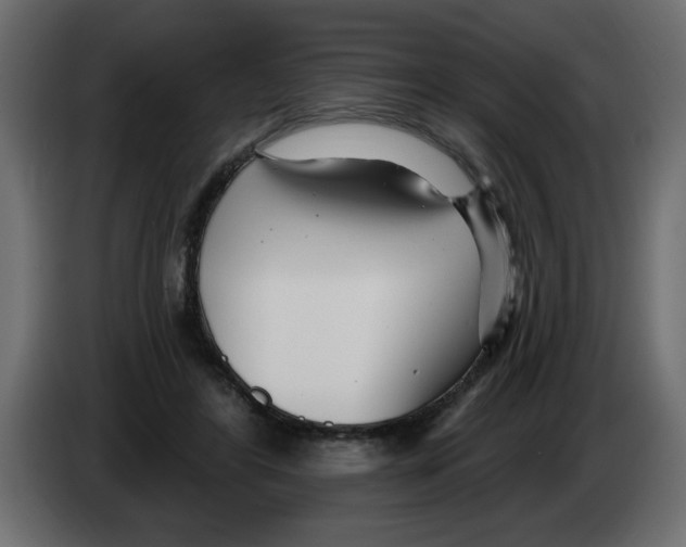 X0000082980404200703020301