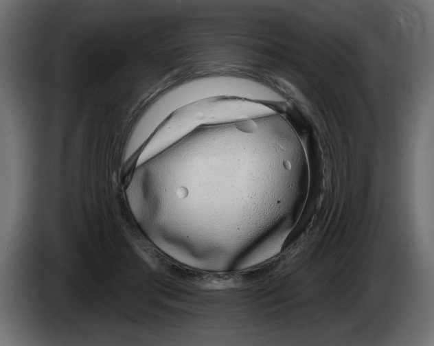 X0000082980405200703020301