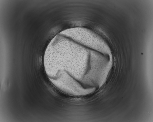 X0000082980406200703020301