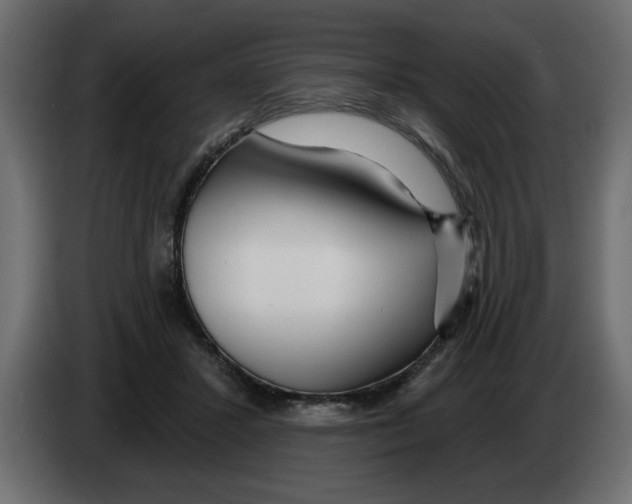 X0000082980407200703020301