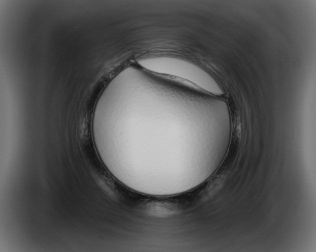 X0000082980408200703020301