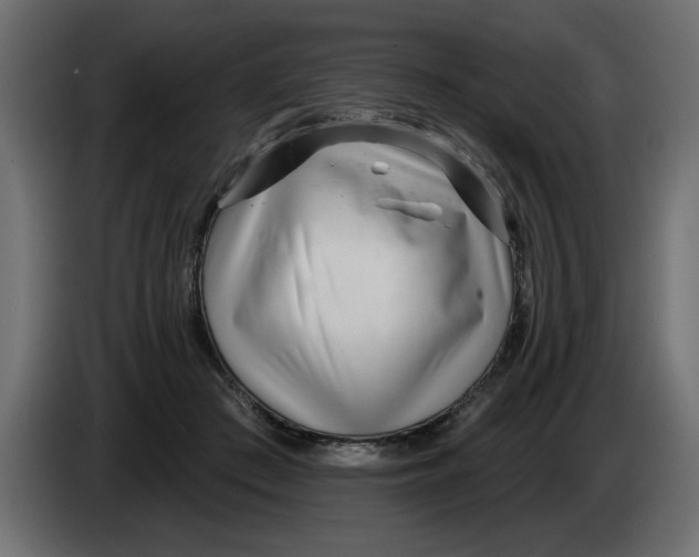 X0000082980409200703020301