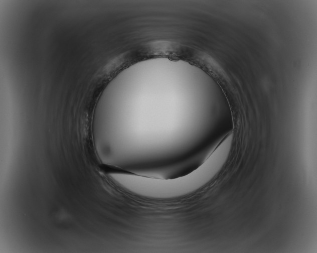 X0000082980413200703020301