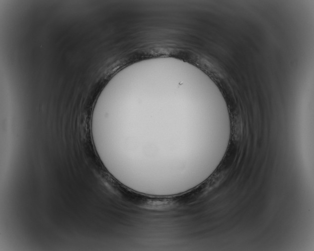 X0000082980414200703020301