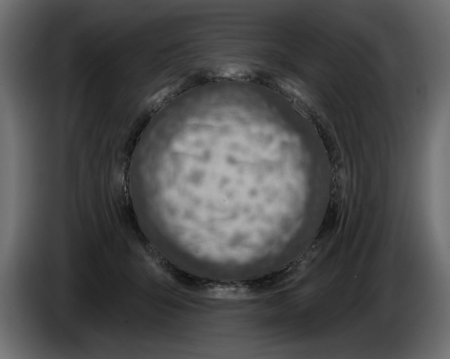 X0000082980415200703020301