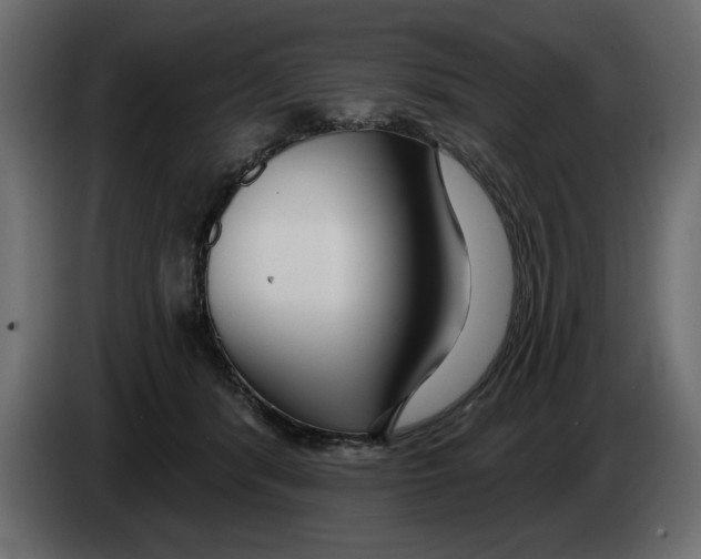 X0000082980416200703020301