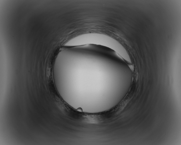 X0000082980417200703020301