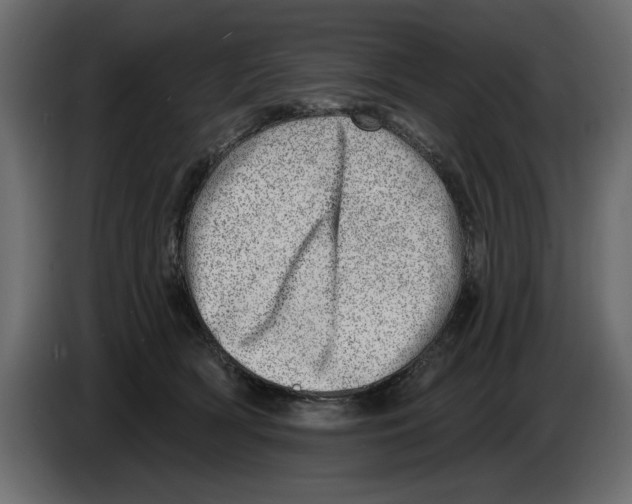 X0000082980418200703020301