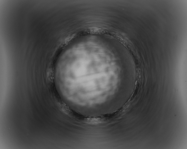 X0000082980419200703020301