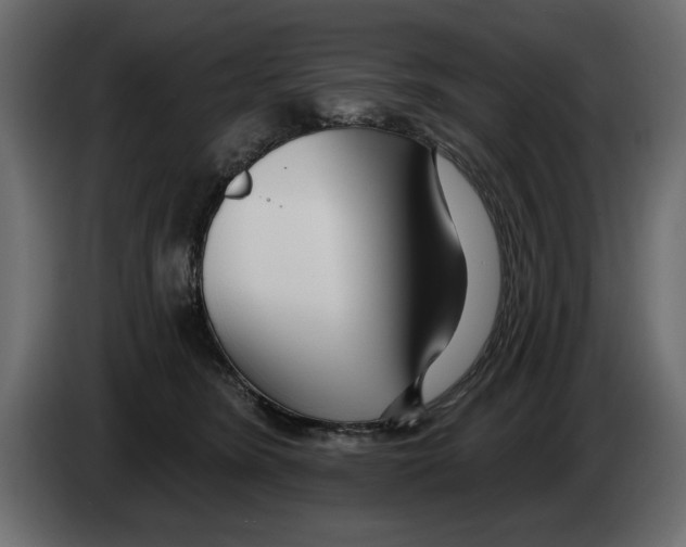 X0000082980420200703020301