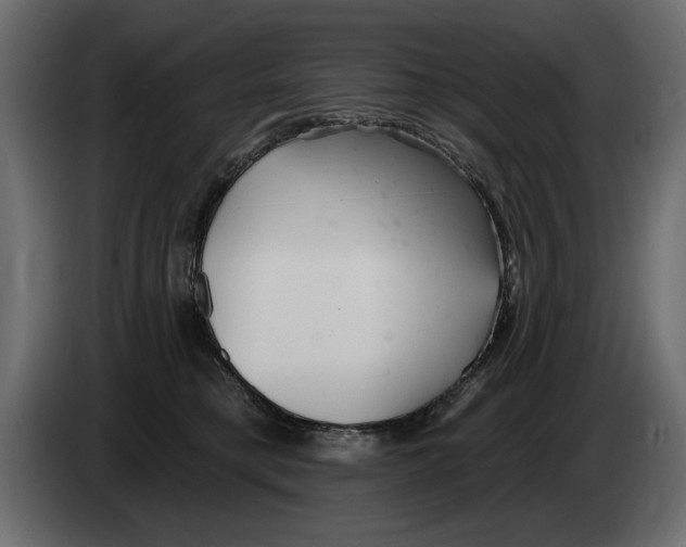 X0000082980421200703020301