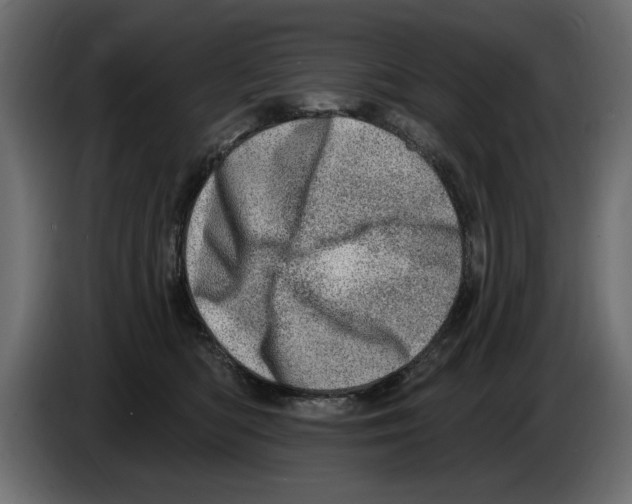 X0000082980422200703020301