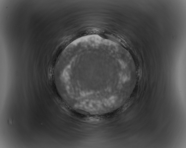 X0000082980423200703020301