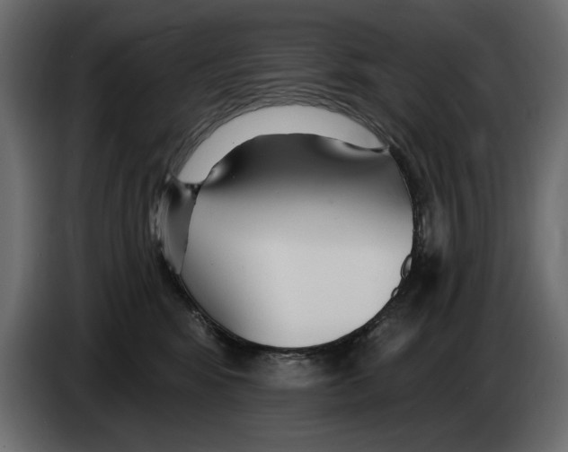 X0000082980424200703020301