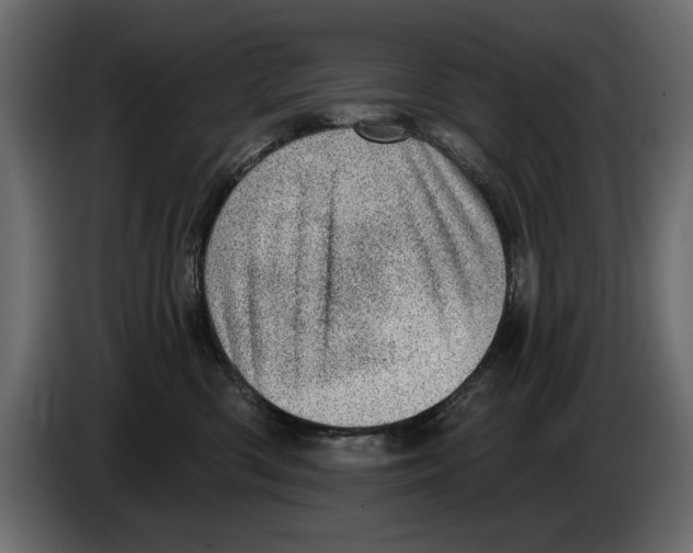 X0000082980426200703020301