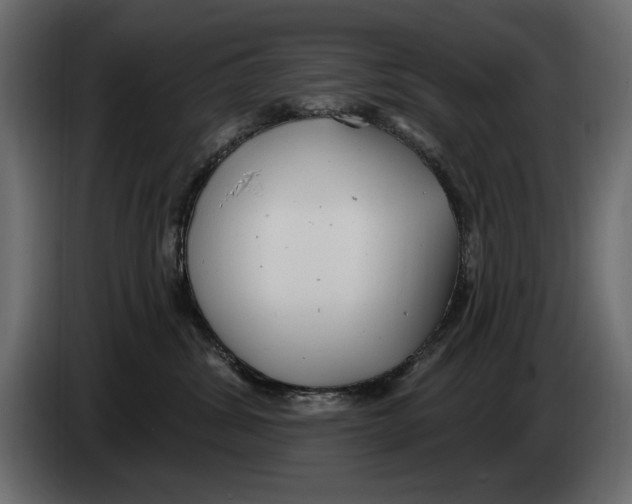 X0000082980428200703020301