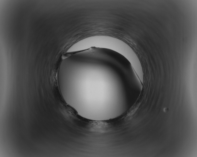 X0000082980429200703020301