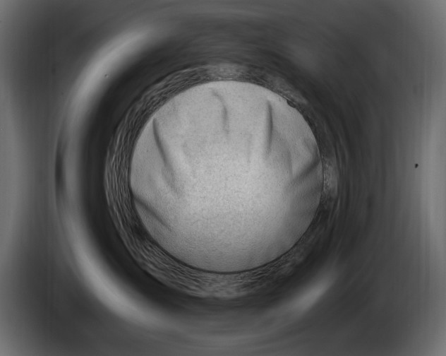 X0000082980431200703020301