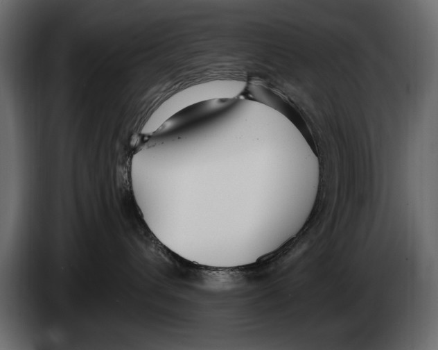 X0000082980432200703020301