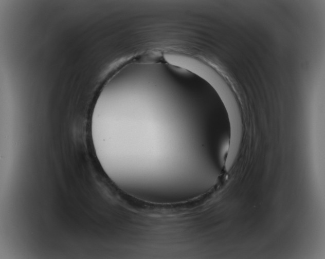 X0000082980434200703020300