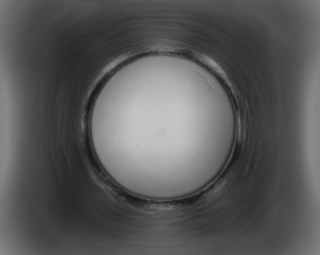 X0000082980435200703020300