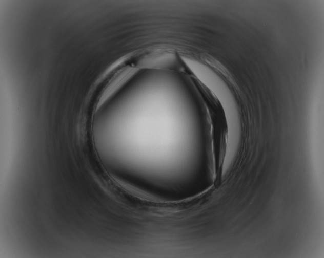 X0000082980436200703020300