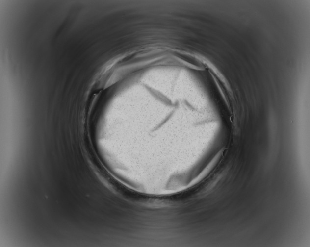 X0000082980437200703020300