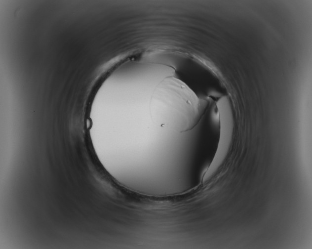 X0000082980438200703020300