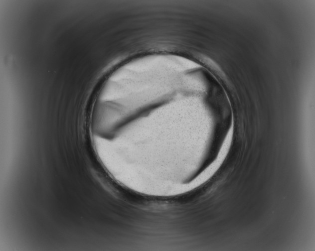 X0000082980439200703020300