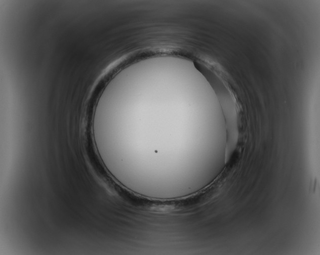 X0000082980440200703020300