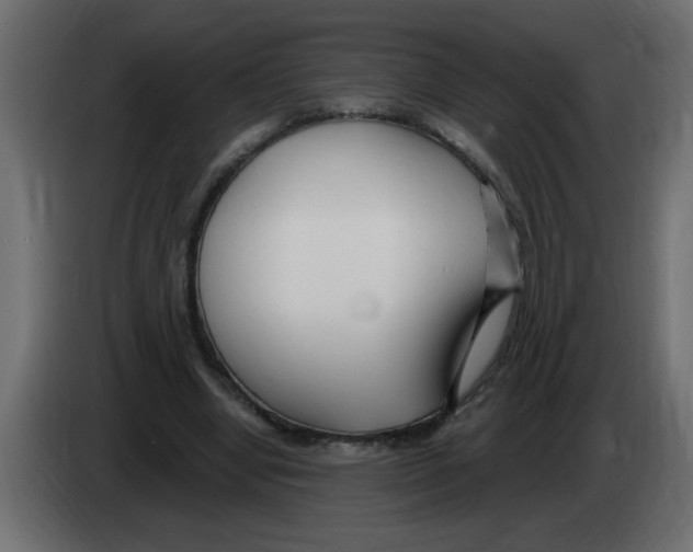 X0000082980442200703020300