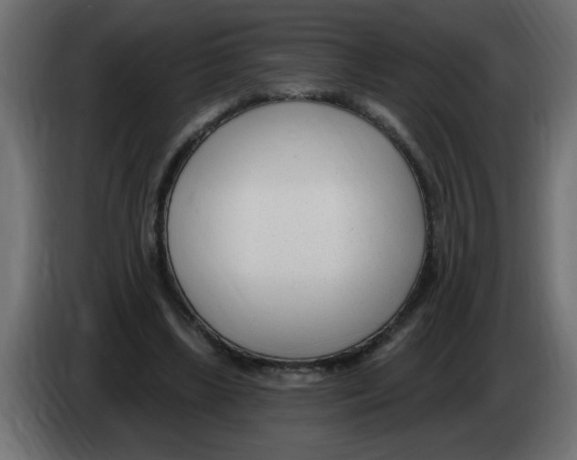 X0000082980443200703020300