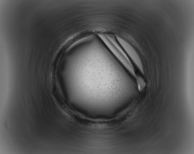 X0000082980444200703020300