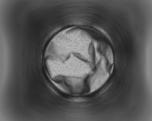 X0000082980445200703020300