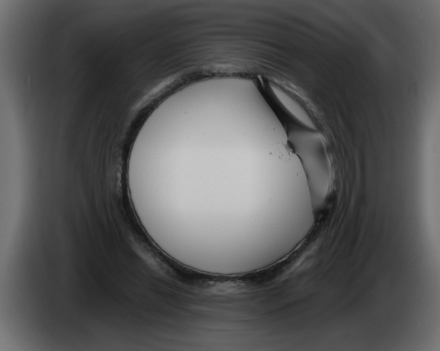 X0000082980446200703020300