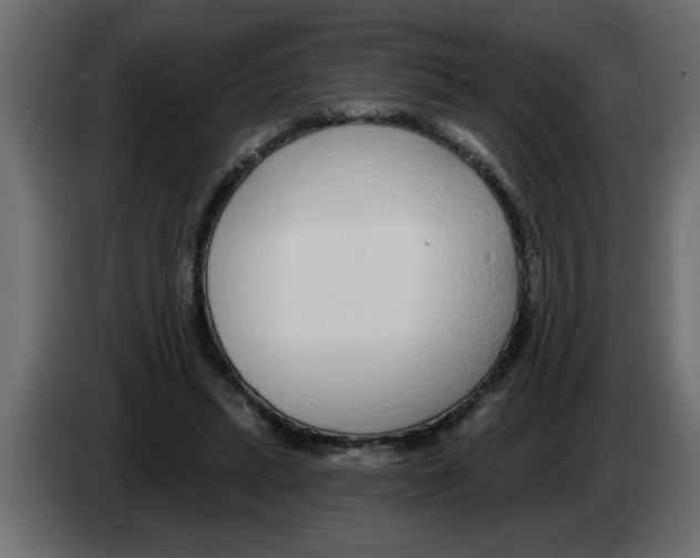 X0000082980447200703020300