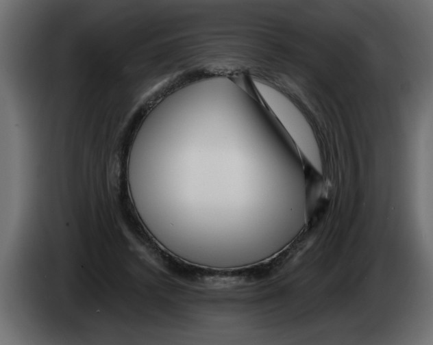 X0000082980448200703020300