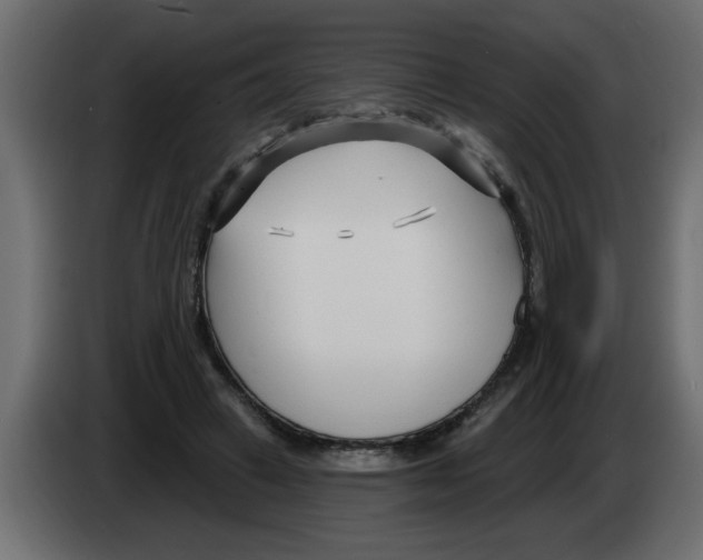 X0000082980449200703020300