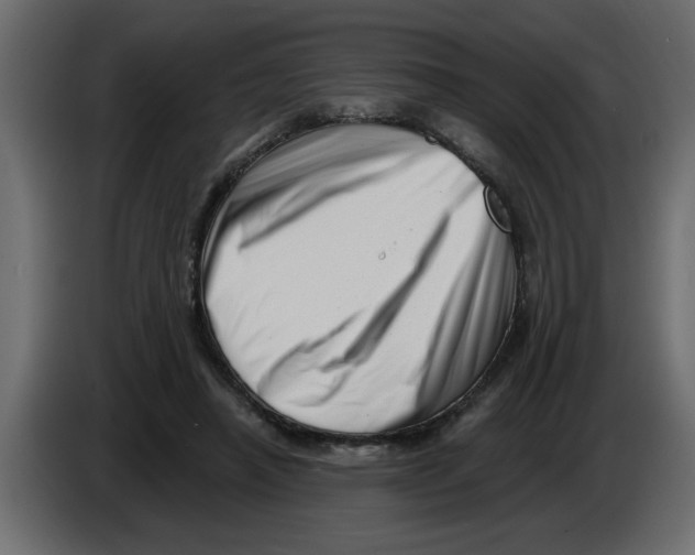 X0000082980450200703020300