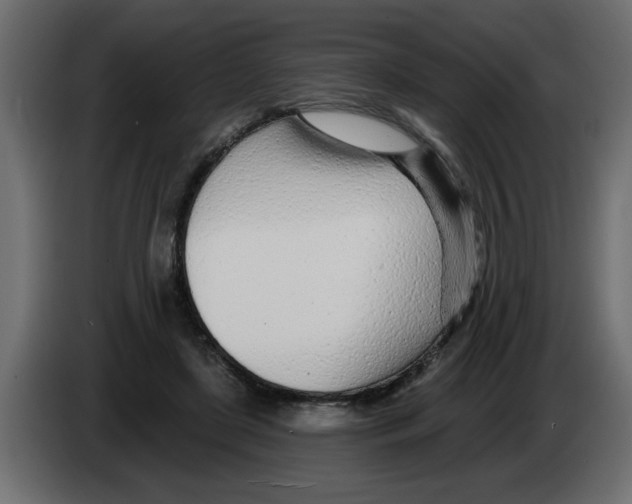 X0000082980451200703020300